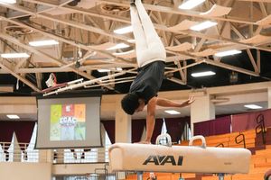 Image post by @WMTribeMGYM on Twitter