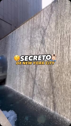 Video post by @insightthecity on Instagram