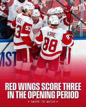 Image post by @nhl on Instagram