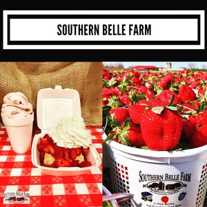 Image post by @southernbellefarm on Instagram