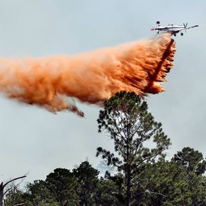 Image post by @statesman on Instagram