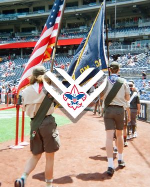 Image post by @scouting.america on Instagram