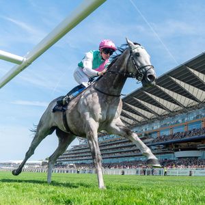 Image post by @juddmonte on Instagram