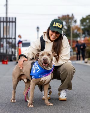 Image post by @lensbylaura on Instagram