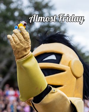 Image post by @ucfhc on Instagram