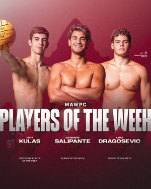 Image post by @fordhamwpolo on Instagram