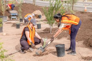 Image post by @Tempegov on Twitter