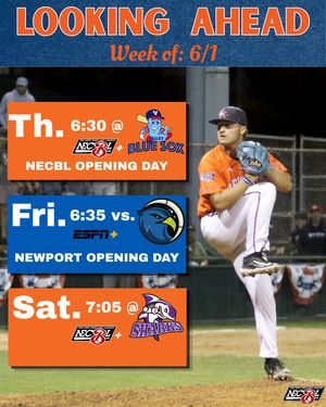 Image post by @newportgulls on Instagram