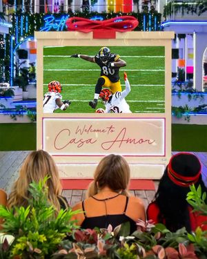 Image post by @steelers on Instagram