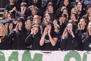 Image post by @laubhan.visuals on Instagram