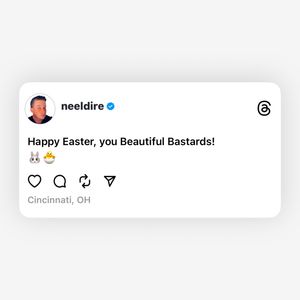 Image post by @neeldire on Instagram