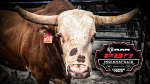 Video post by @pbr on YouTube