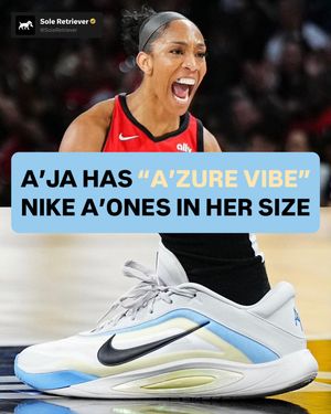 Image post by @soleretriever on Instagram