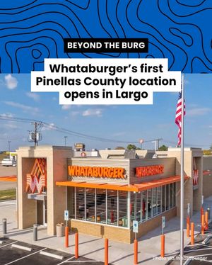 Image post by @ilovetheburg on Instagram