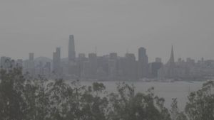 Image post by @filmedbymatthew on Instagram