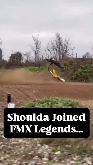 Image post by @edgeactionsports on Instagram