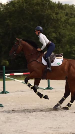 Video post by @clairecumbee on Instagram