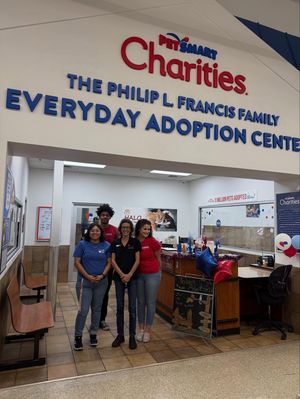 Image post by @petsmart on Instagram