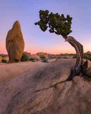 Image post by @nationalparkscollective on Instagram