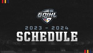Image post by @GOHLHockey on Twitter