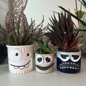 Image post by @kidsgardening on Instagram