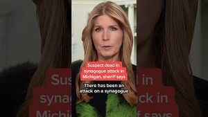 Video post by @msnbc on YouTube