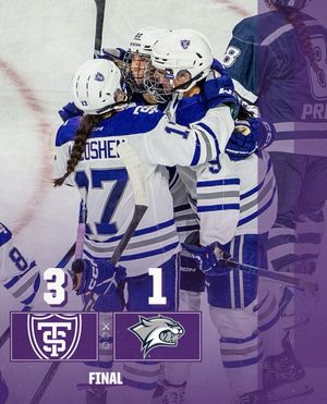 Image post by @tommiewhockey on Instagram