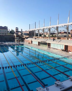 Image post by @uscswim on Instagram