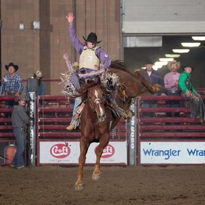 Image post by @american_royal on Instagram