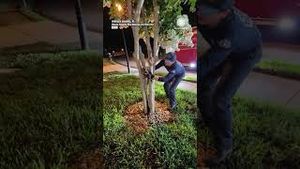 Video post by @accuweather on YouTube