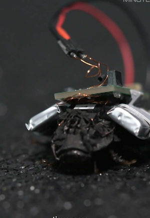 Video post by @60minutes on TikTok