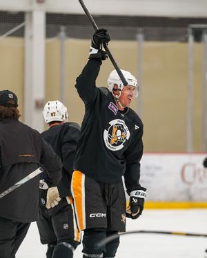 Image post by @penguins on Instagram