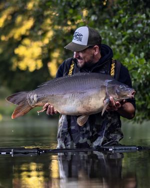 Image post by @brothercarp on Instagram