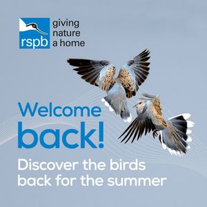 Image post by @rspb on Instagram