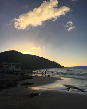 Image post by @ariannalupi on Instagram
