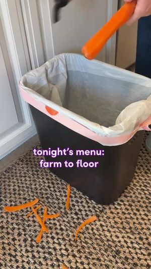 Video post by @wayfair on TikTok