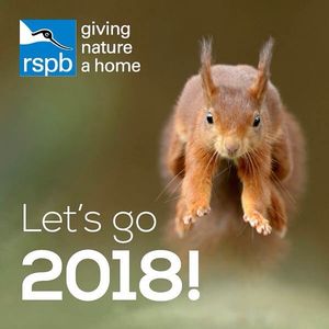 Image post by @rspb on Instagram