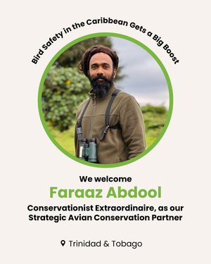 Image post by @featherfriendly on Instagram