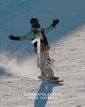 Image post by @thesnowleague on Instagram