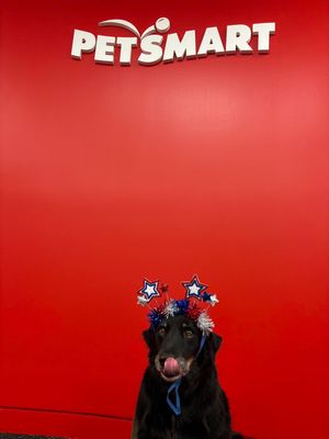 Video post by @petsmart on TikTok