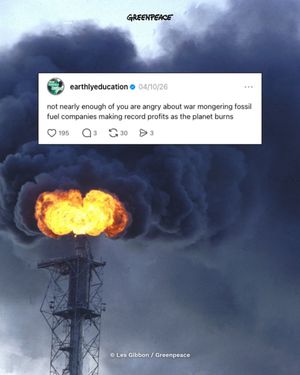 Image post by @greenpeace on Instagram