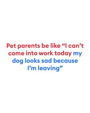 Image post by @petsmart on Instagram