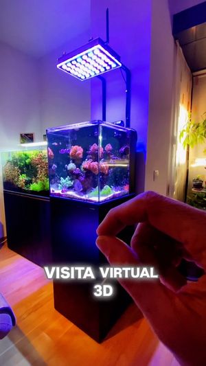 Video post by @aqualupi on Instagram