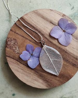 Image post by @leafyaffair on Instagram