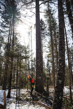 Image post by @themainemag on Instagram