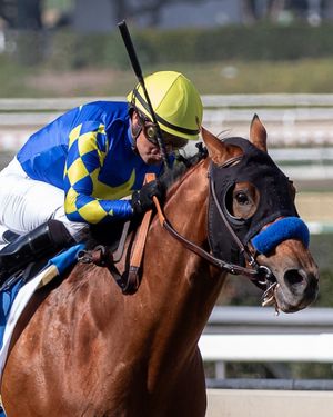 Image post by @breederscup on Instagram