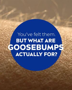 Image post by @nivea on Instagram
