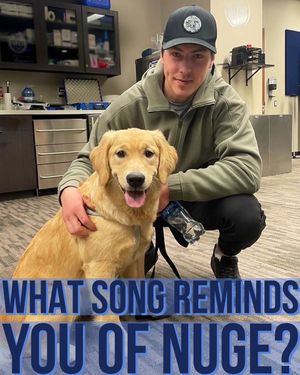 Image post by @oilersnationdotcom on Instagram
