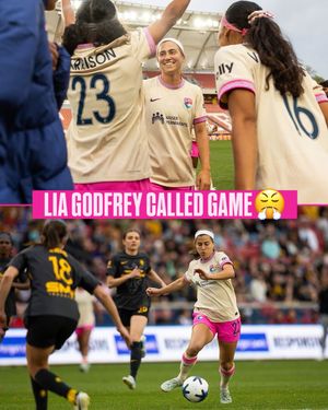 Image post by @sandiegowavefc on Instagram