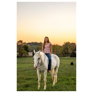 Image post by @sgnphotos on Instagram